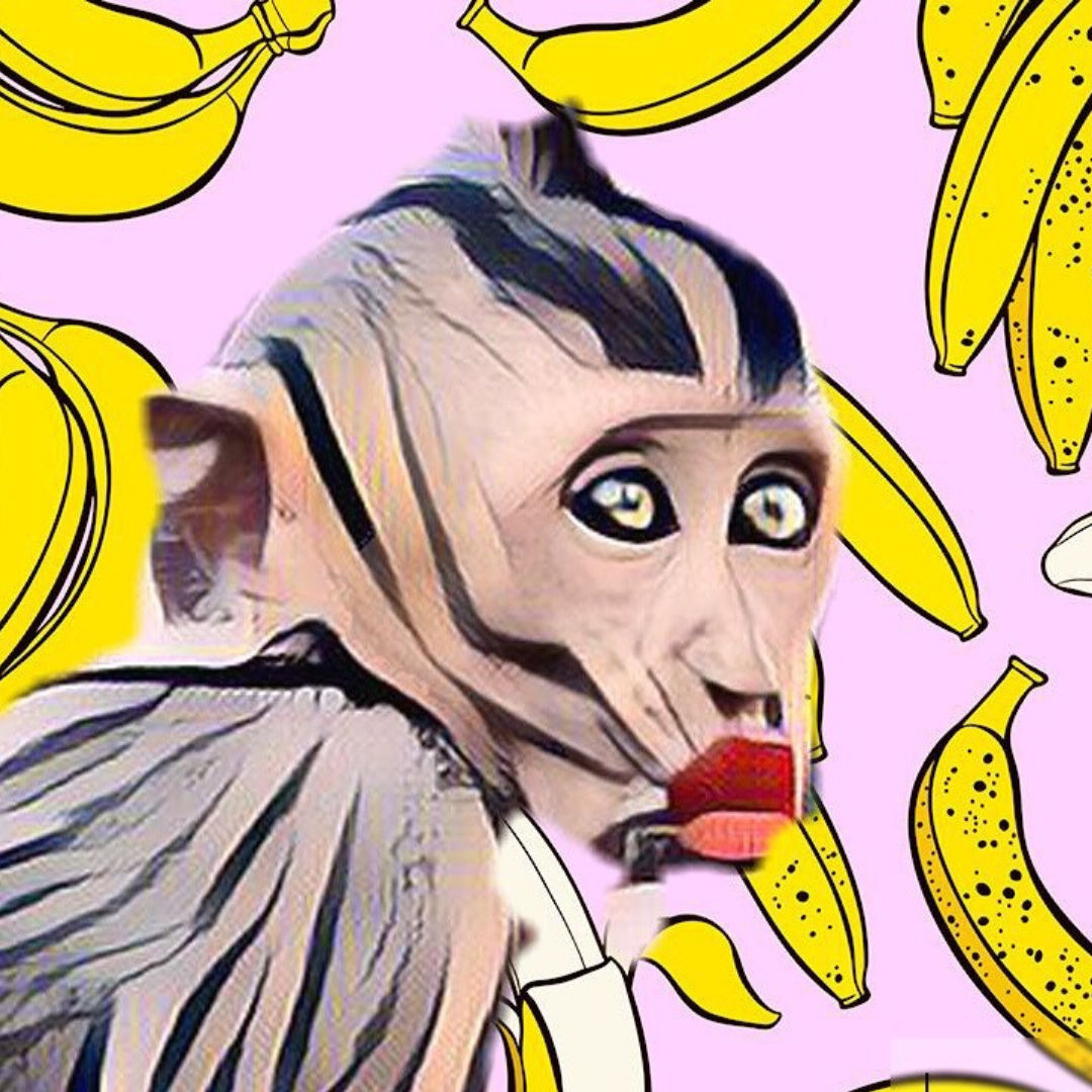 The Last Monkey