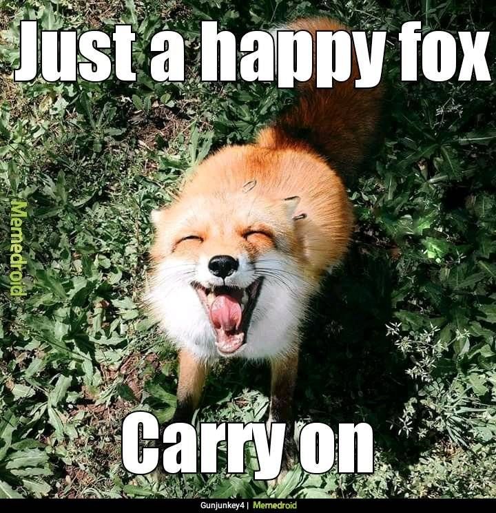 lilfox
