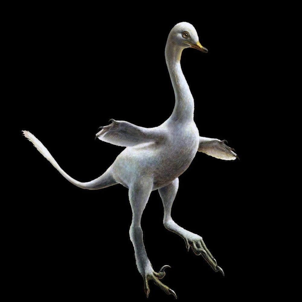 creepy realistic goose