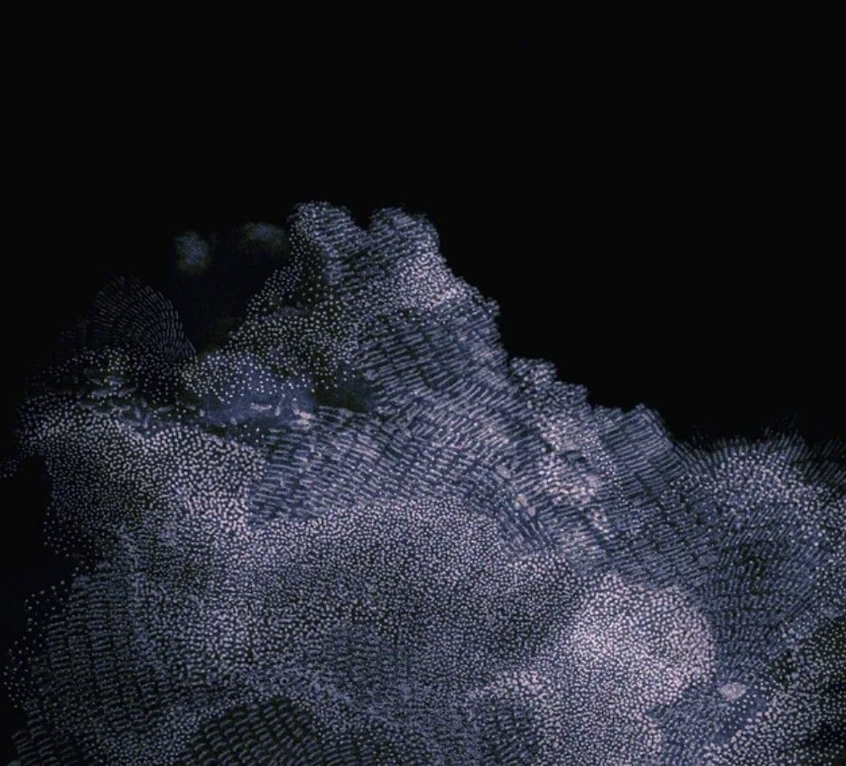 Going home from the pub