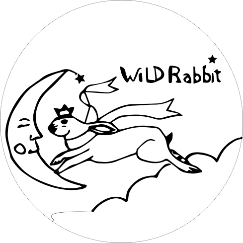 Wild Rabbit