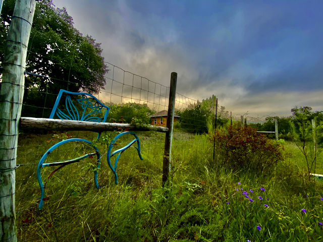 'Bellus the Third' Skiving-off and Being a Brat