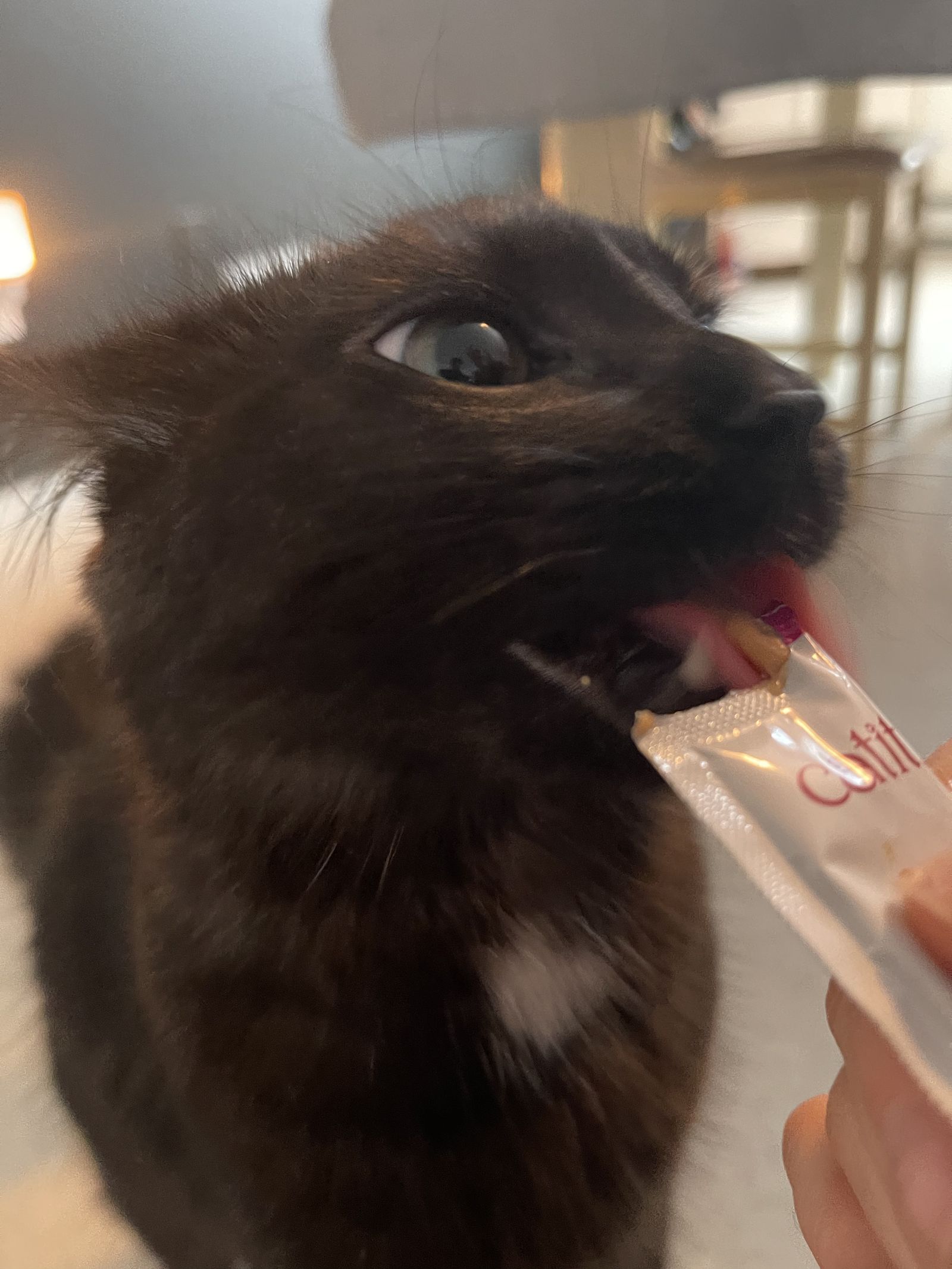 Plouffy