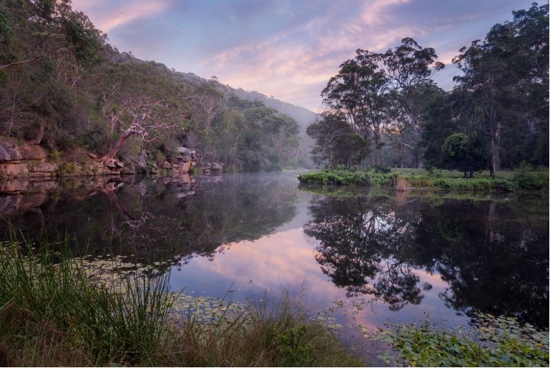 Australian landscape