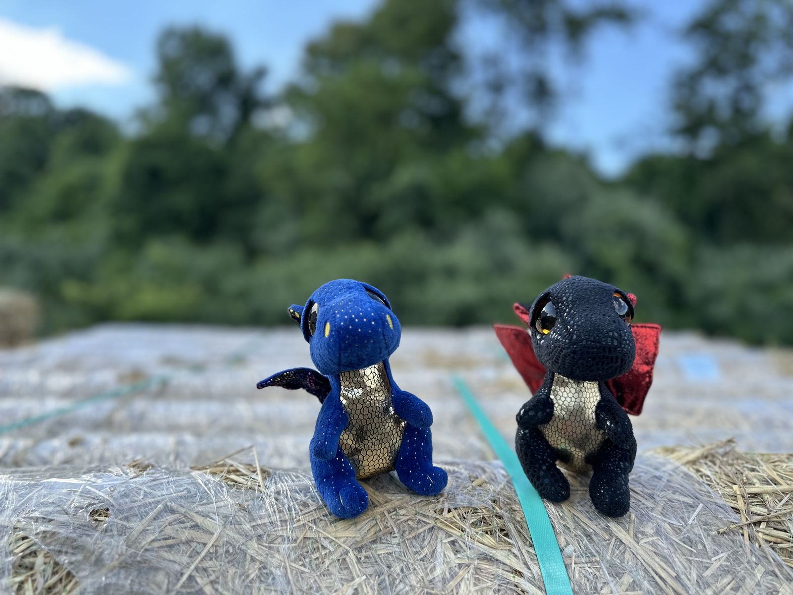 Fluffs and Stuffs Da