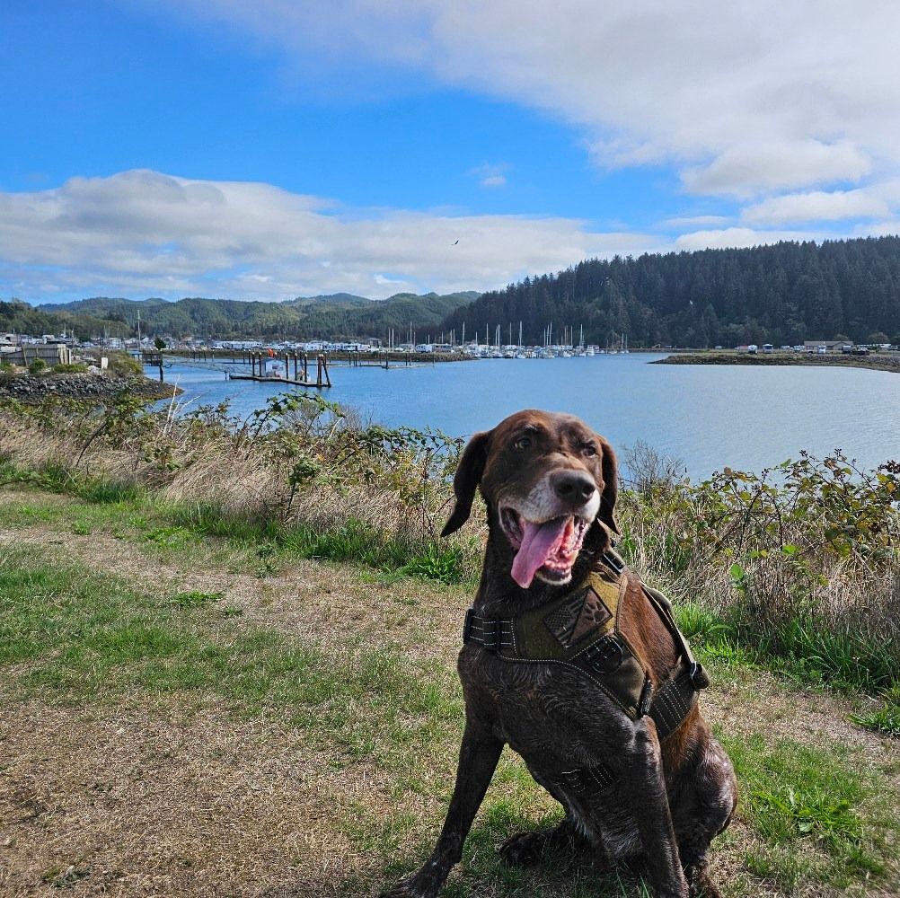 Morris, Professional photography, bokeh, natural lighting, canon lens, shot on dslr 64 megapixels sharp focus