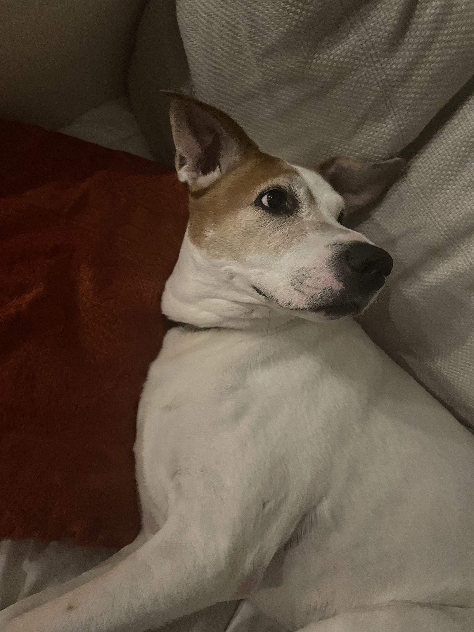 ella