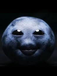 Blueberry Niche Fruit