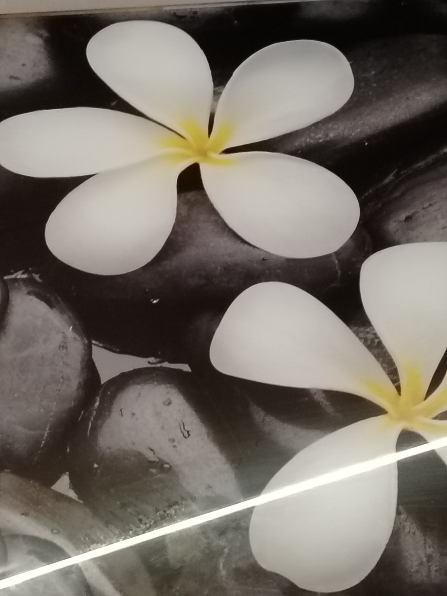 beautiful two red flowers on lots of round black stones the size of an egg, a work of art
