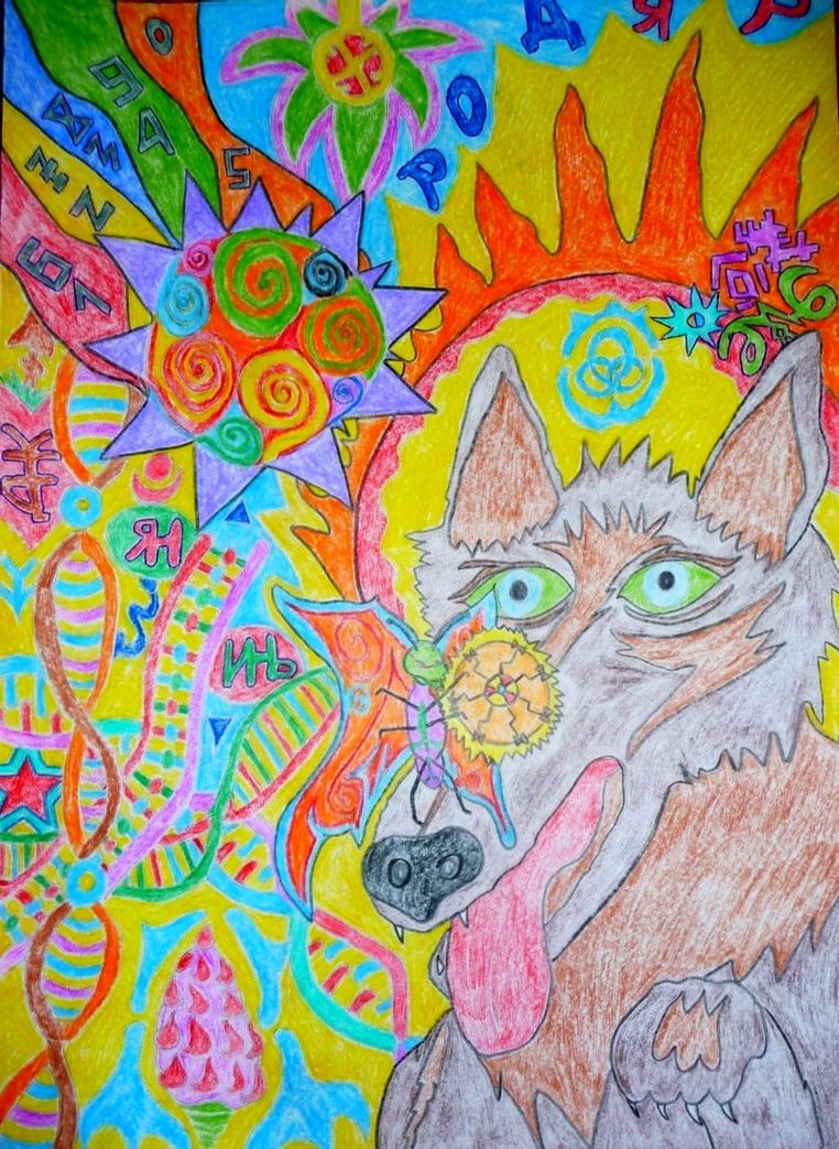 Butterfly on the nose of a Wolf tambourine portal periphery of the dna of infinity sun stars letters magic simulation