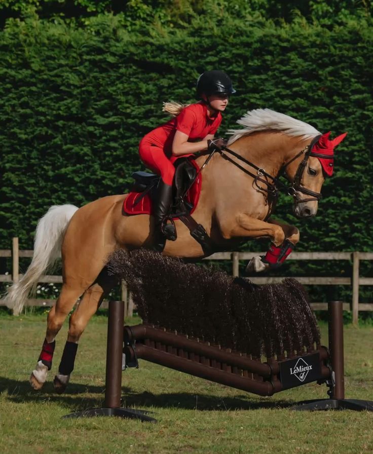 Anonymous Horse Rider