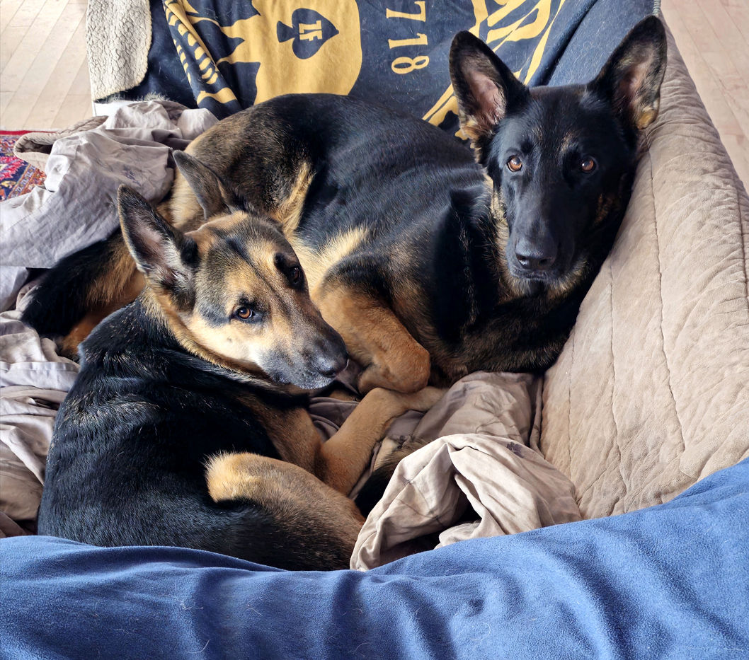 Major Midnight and Miss Maisy