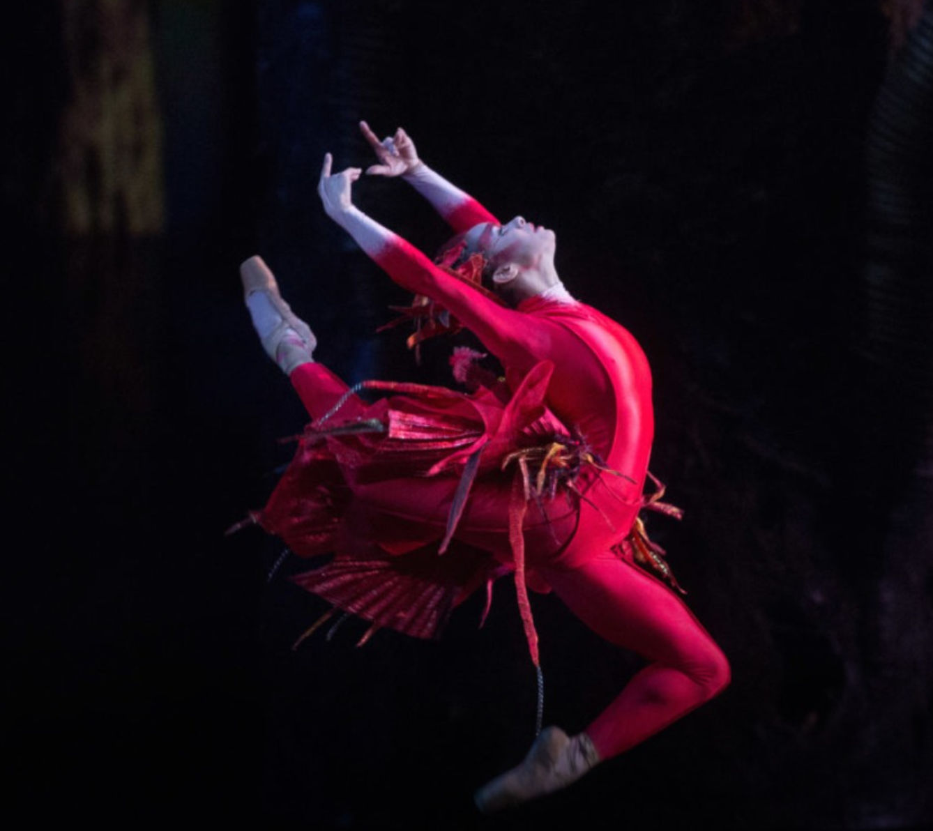 A stunning! Portrait of Misty Copeland has The Firebird