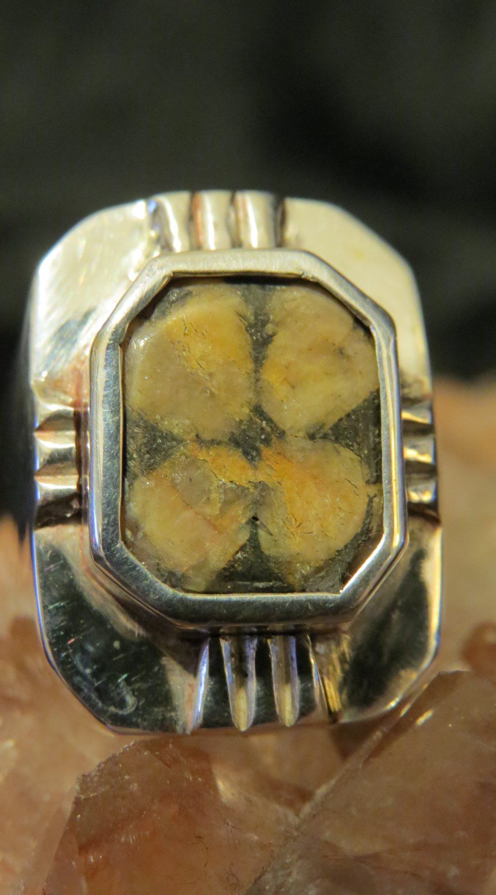 Image uploaded by user