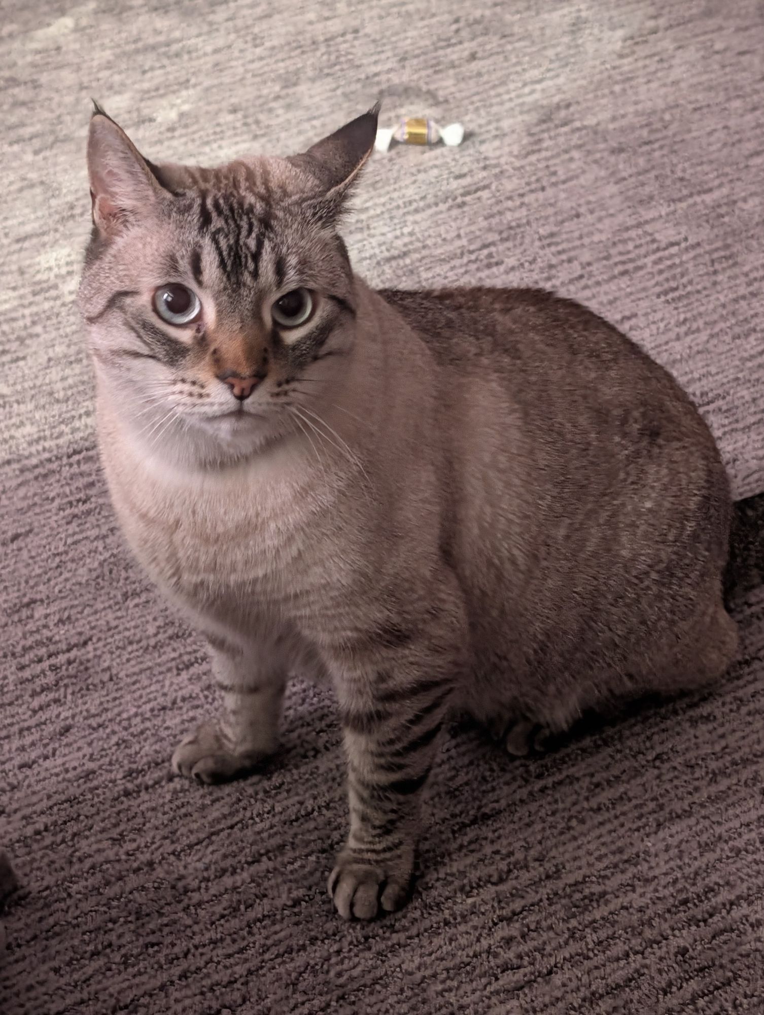 Mystical cartoon dragon