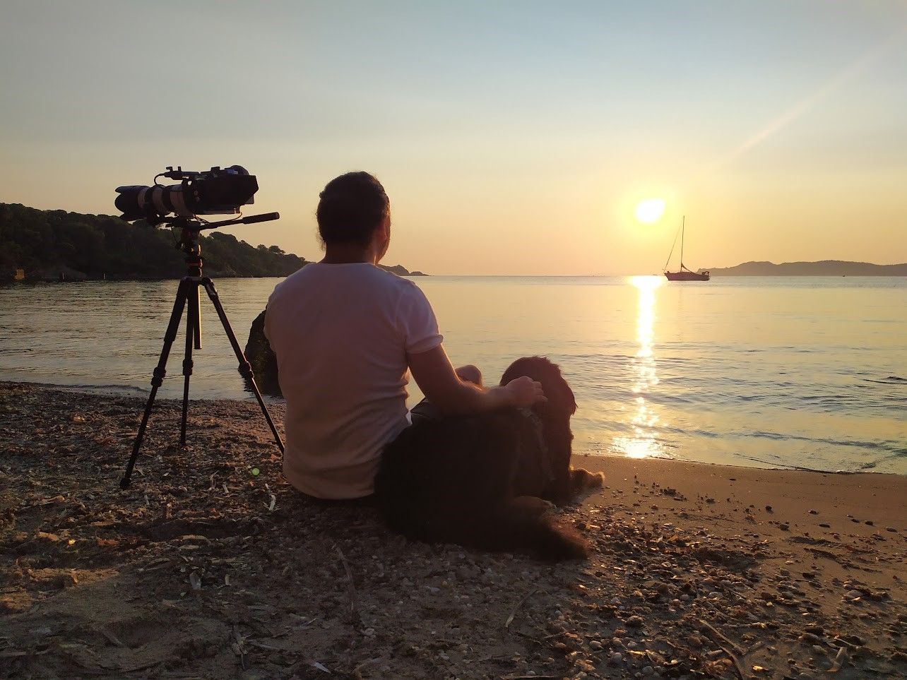 Experimental Expression Laboratory