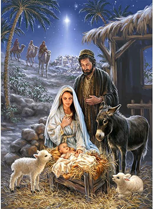 Nativity scene Cambrian explosion