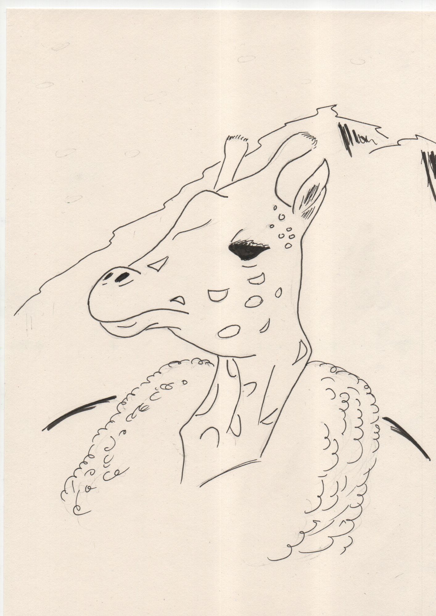 A giraffe
