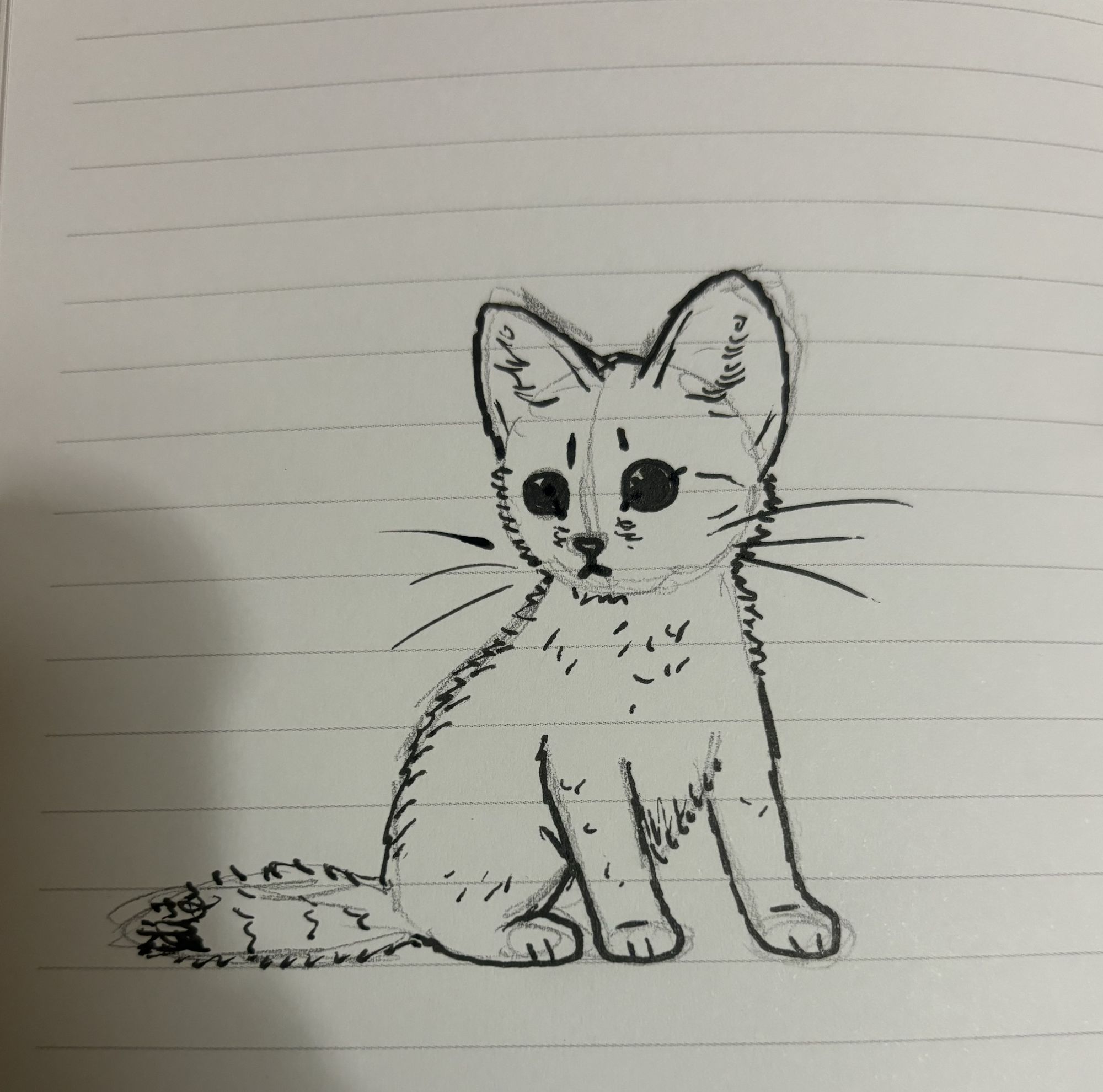 Kitten in the forest