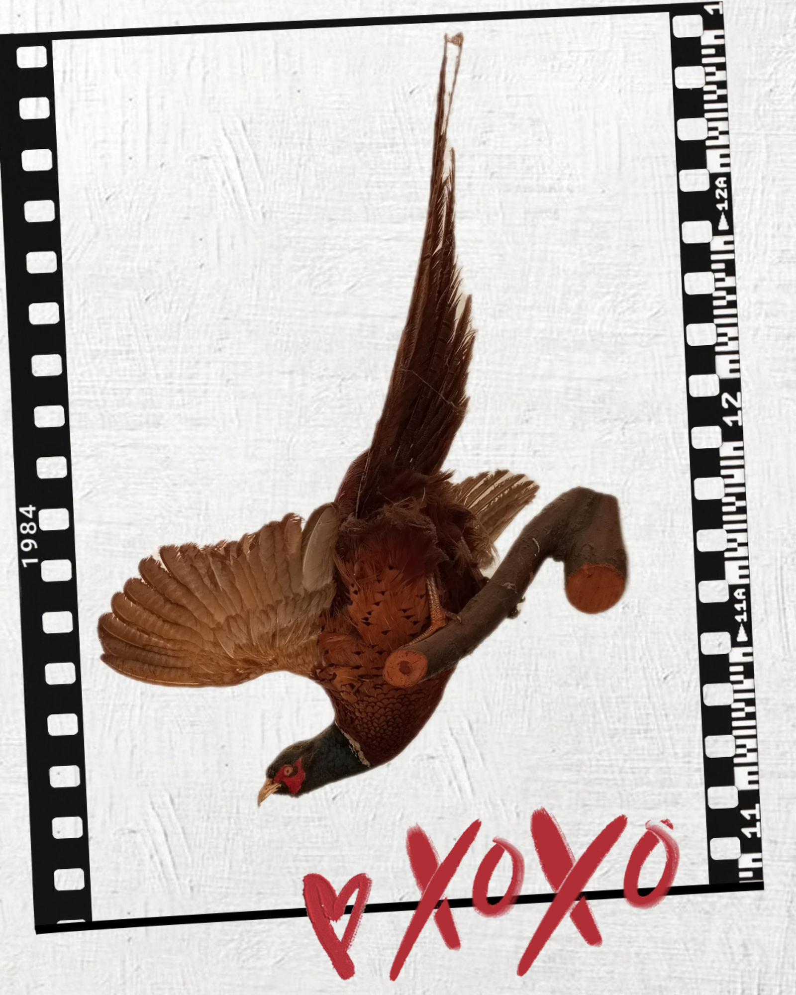 Fantasy bird with two heads and snake eyes 