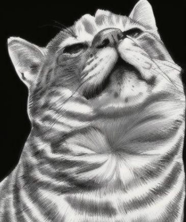 Dictator Cat with leather military hat