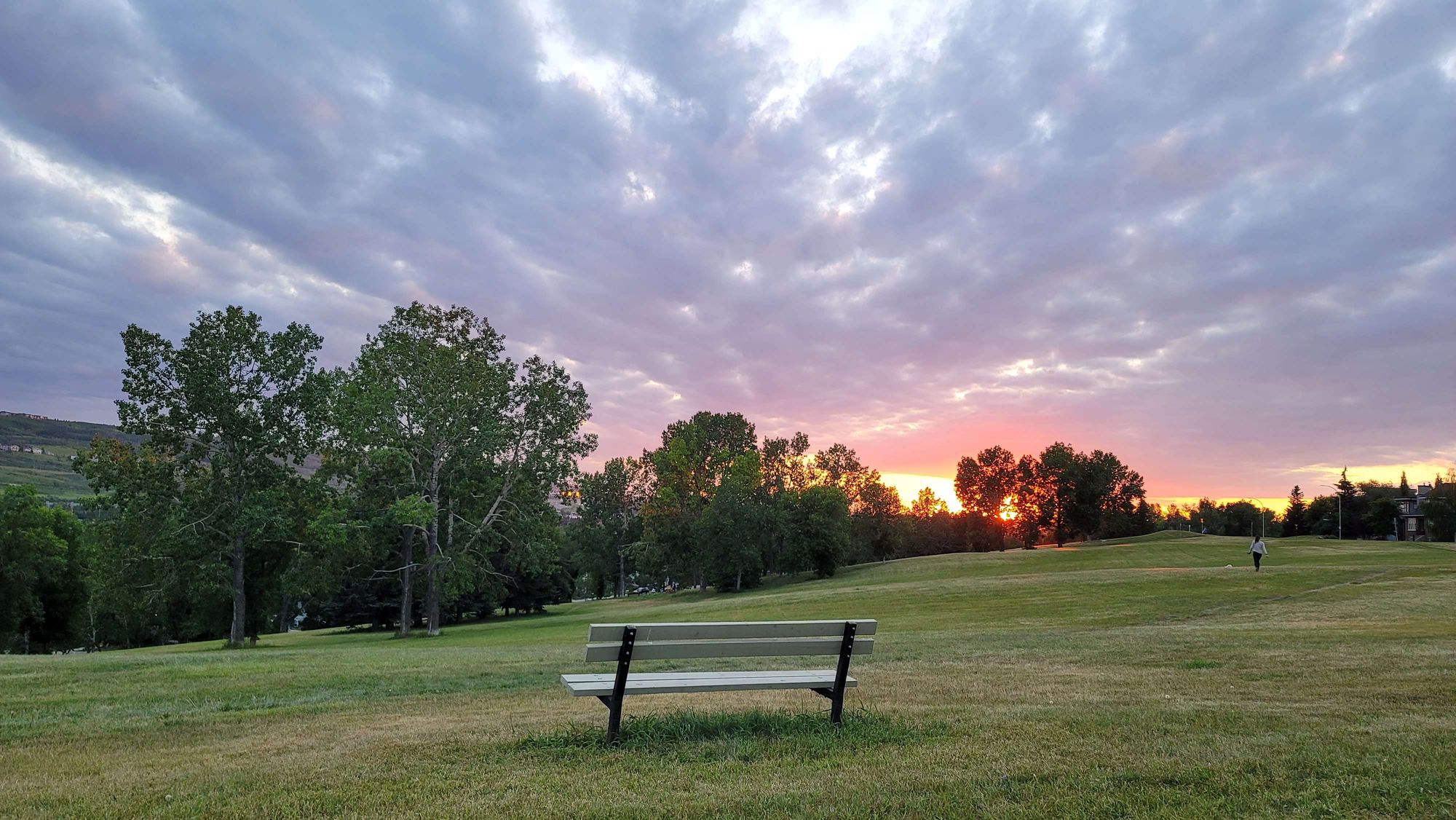 Image uploaded by user