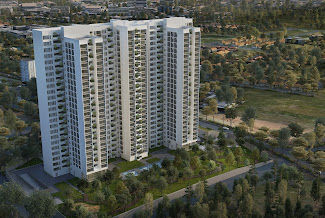 Prestige Forest edge