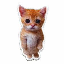 Elven_gato