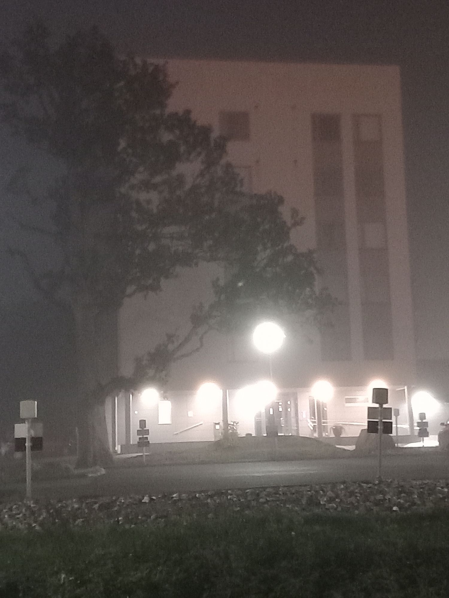 luminous dark Jesus  in dark night of the forest