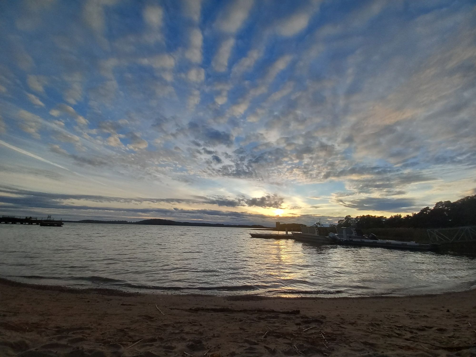 Star reaching to the  opossum photorealistic 