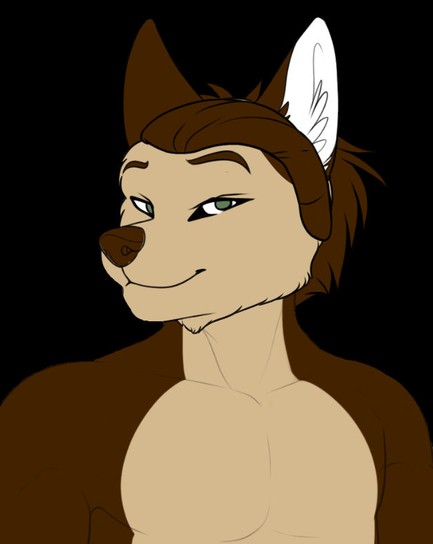 Bryan Mullins The Fox