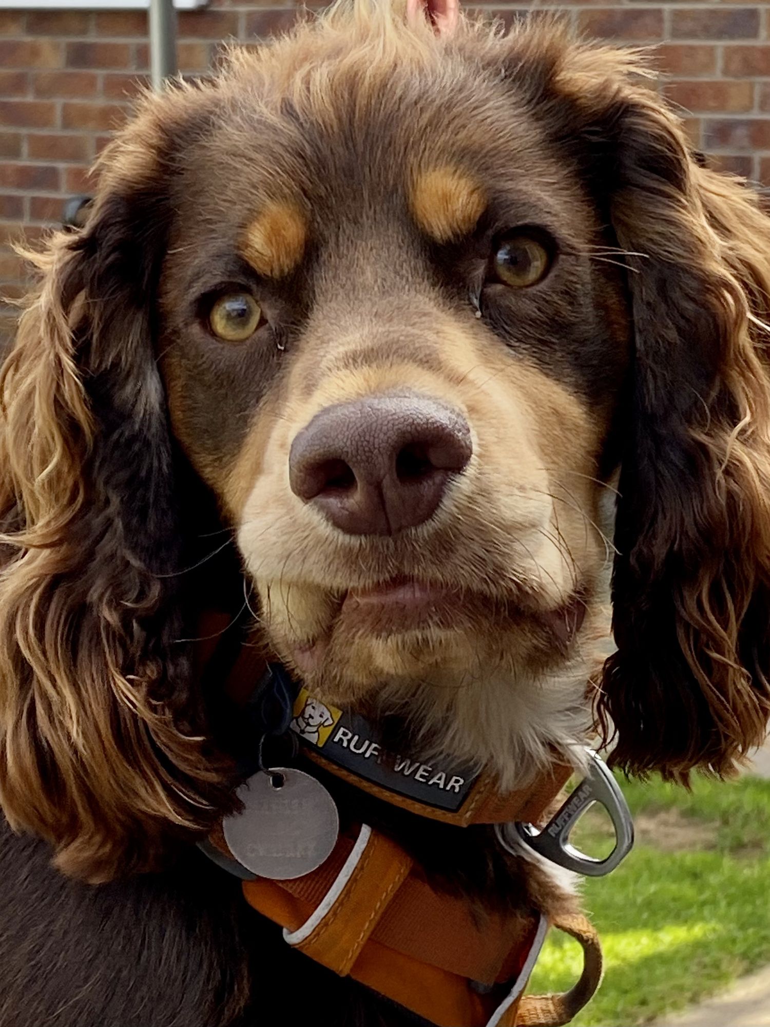 Image uploaded by user