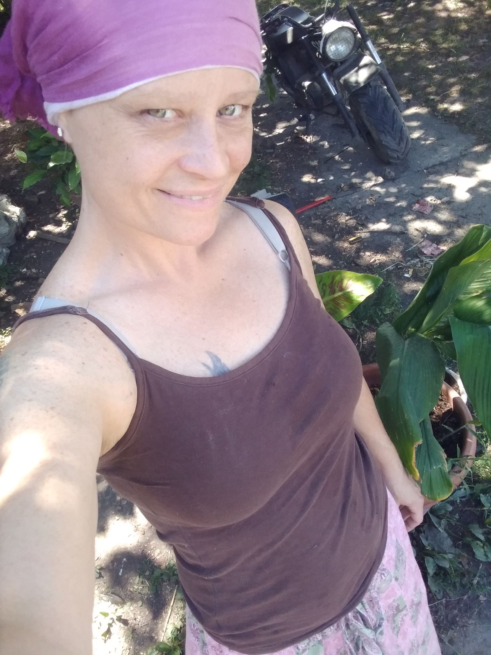Shana Banana