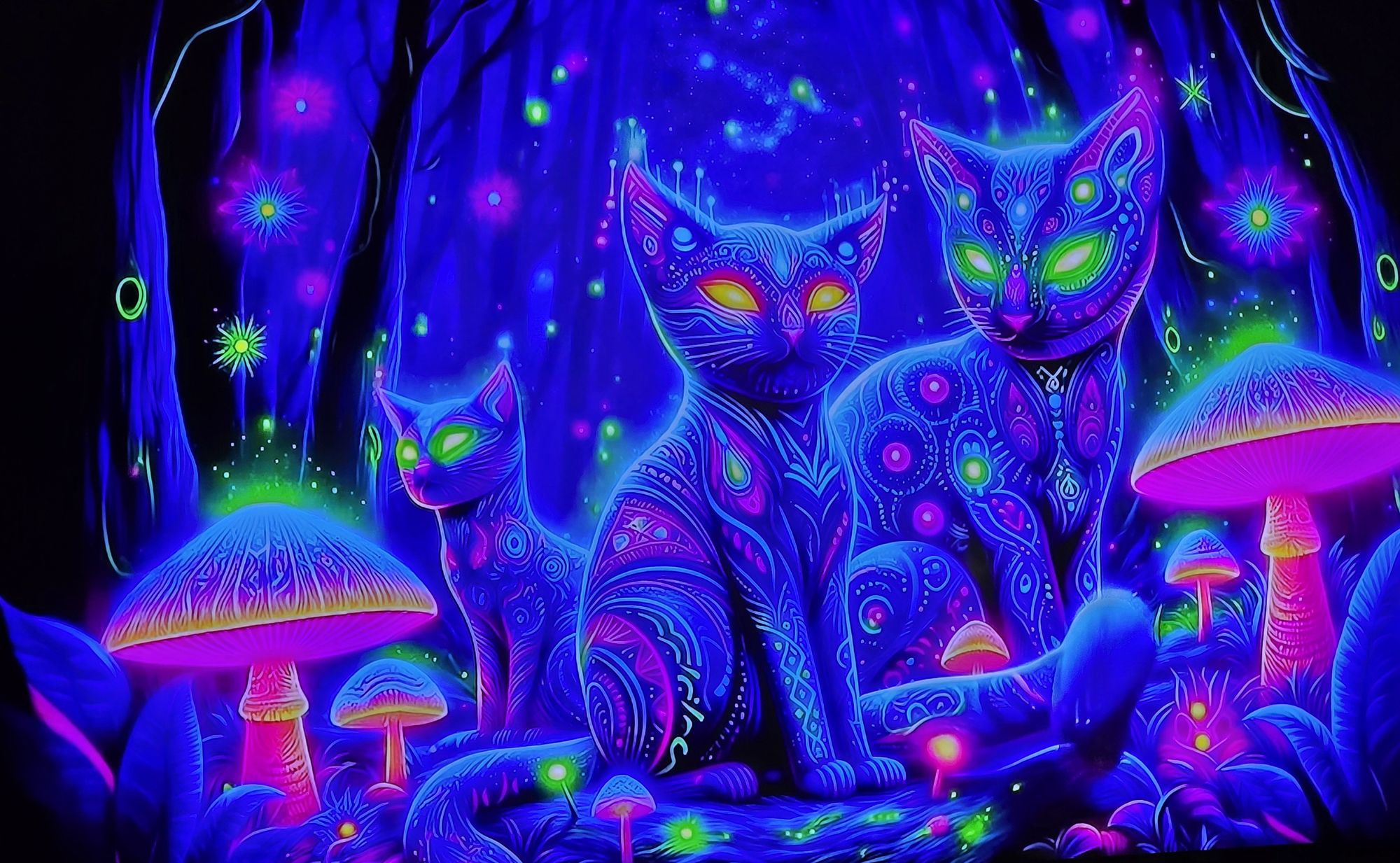 CREATURES OF THE NEON NIGHTS