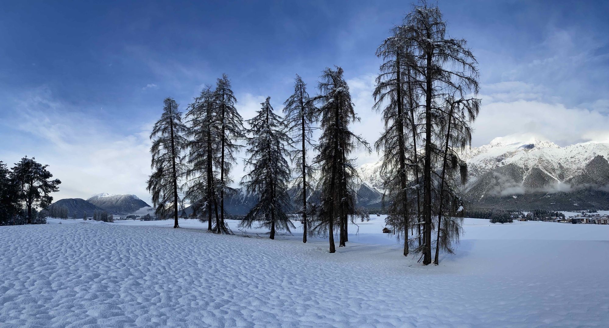 buddha meditating on a lotus