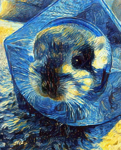 Nolerbear