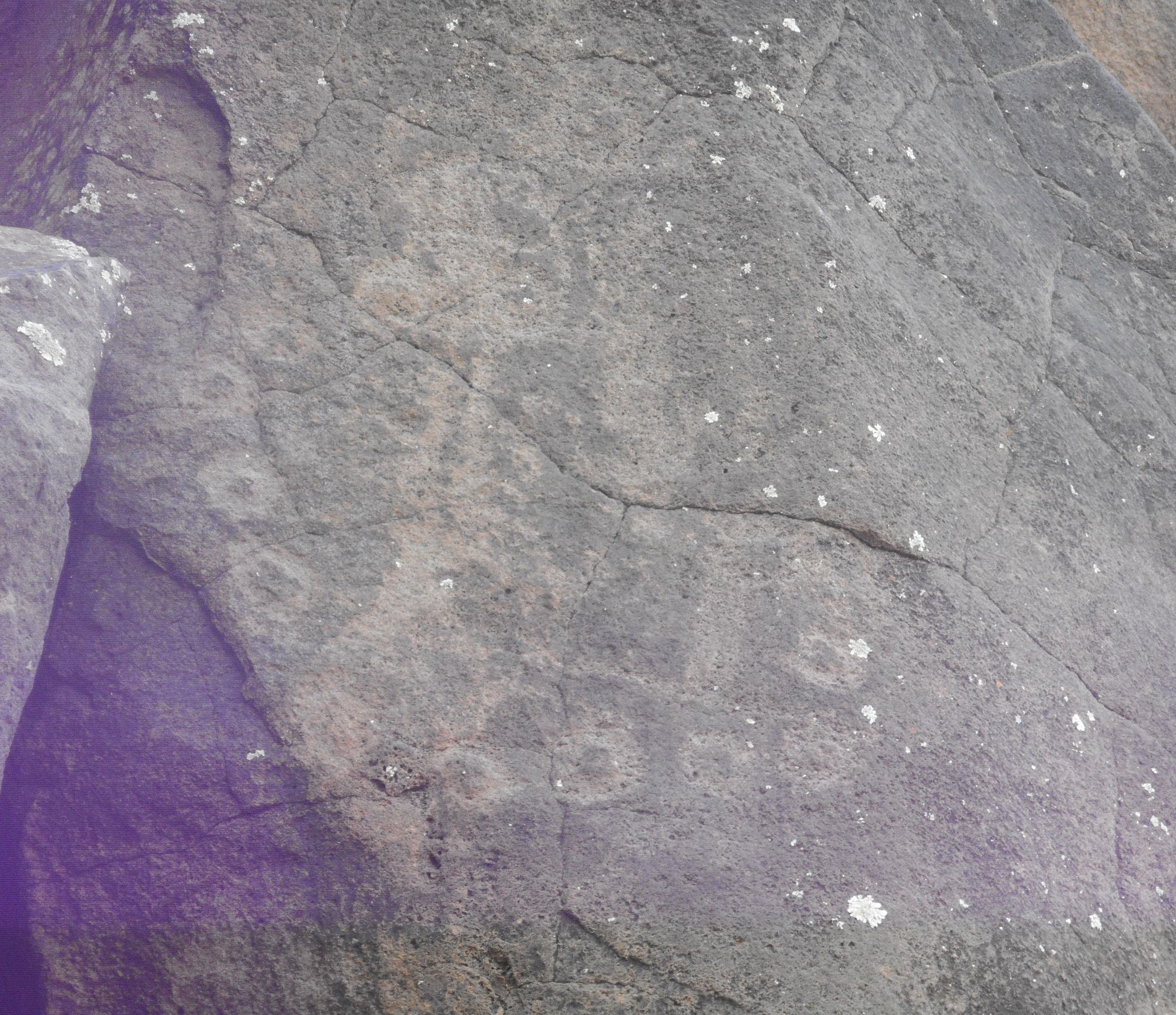 Image uploaded by user