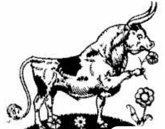 A Black and white tattoo design of a friendly fighting bull smelling a flower hyperdetailed charcoal drawing 