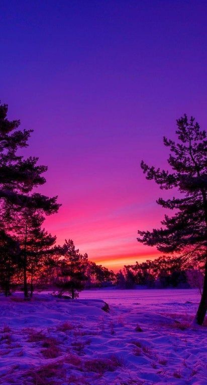 Pink sky in a snowy day.