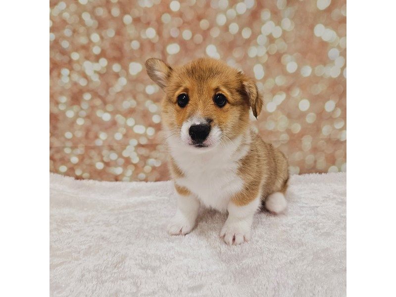 Hiiiiiiii
