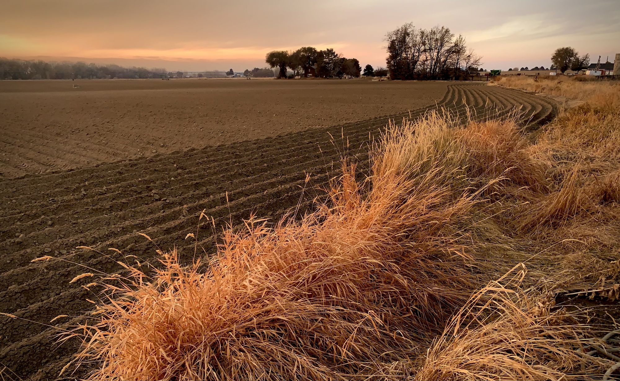 Photorealistic, wide angle lens, ultra sharp, farmland, sunset