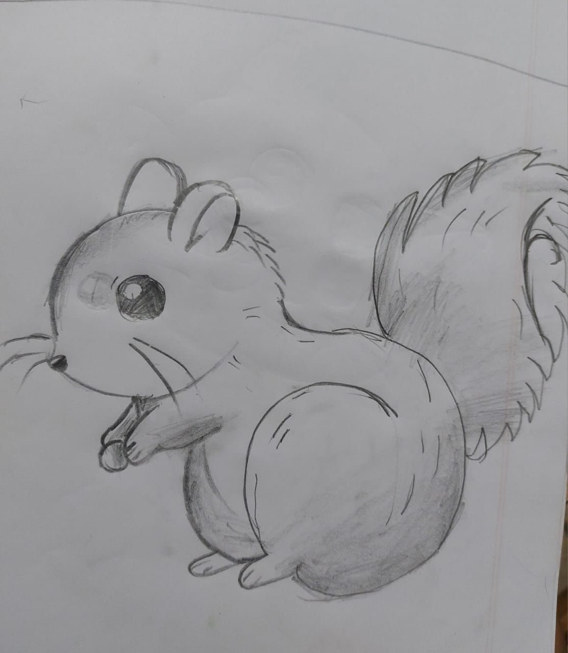 A sketch or clean line art drawing of a cute, chubby squirrel in a cartoon style. 