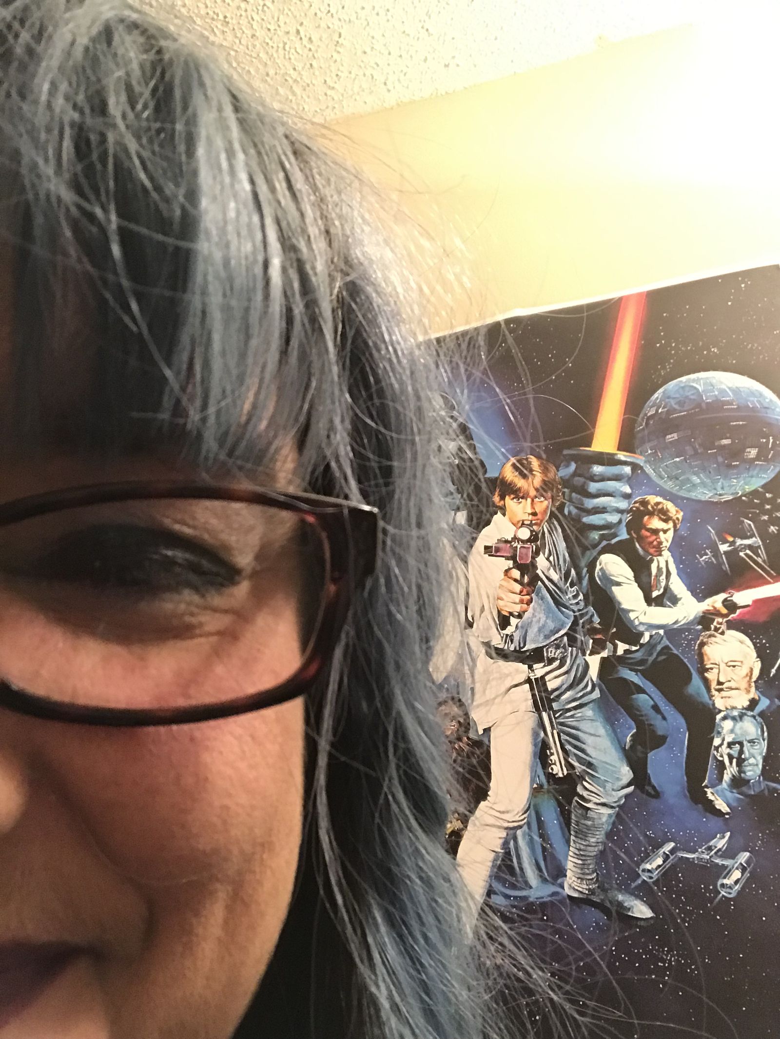 Diary Of A Short Attention Span