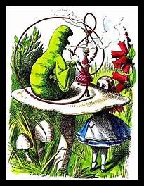 Image uploaded by user