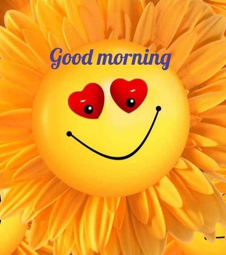 Have a beautiful bumble flippy looking around at the flowers just happy smiley with cute and tennis cute big eyes and chubby body make it lo...