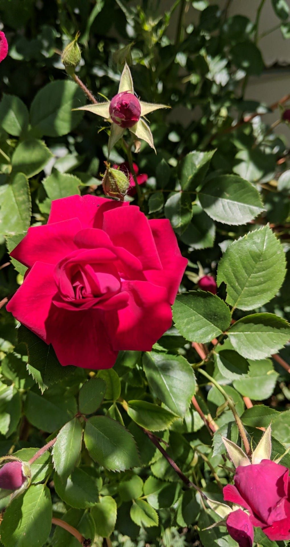 April Gemma Marie Blake