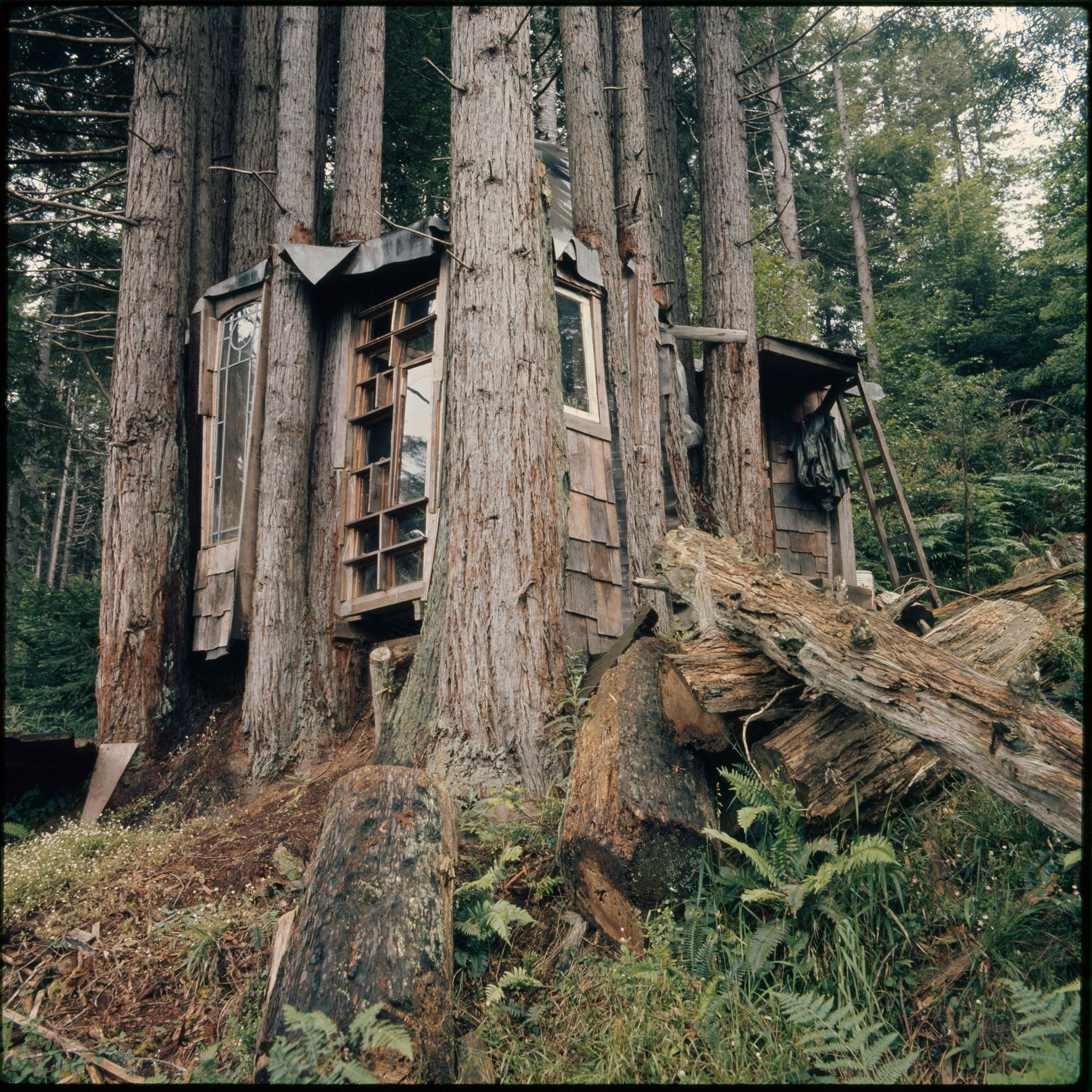 "Serene and beautiful botanical garden, inspired by the Liberec Botanical Garden, one of the most impressive and eldest gardens ever seen....