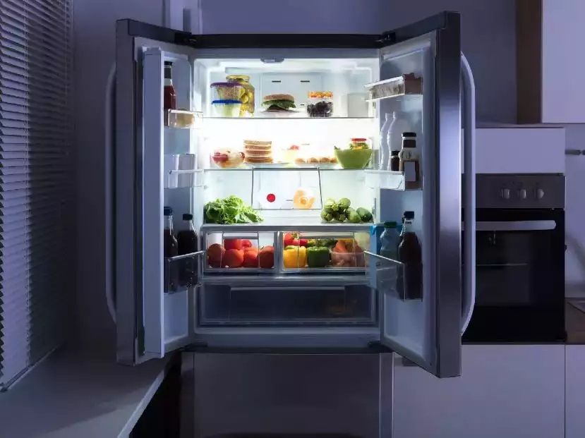 Skeletal Fridge