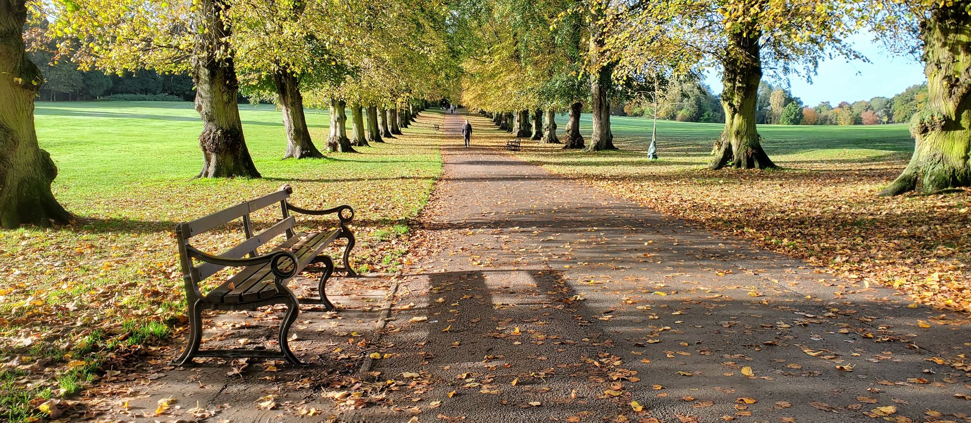 a peaceful and tranquil autumn scene of a park with beautiful trees by a waterway. A person sits at a table in front of the house, next to a...