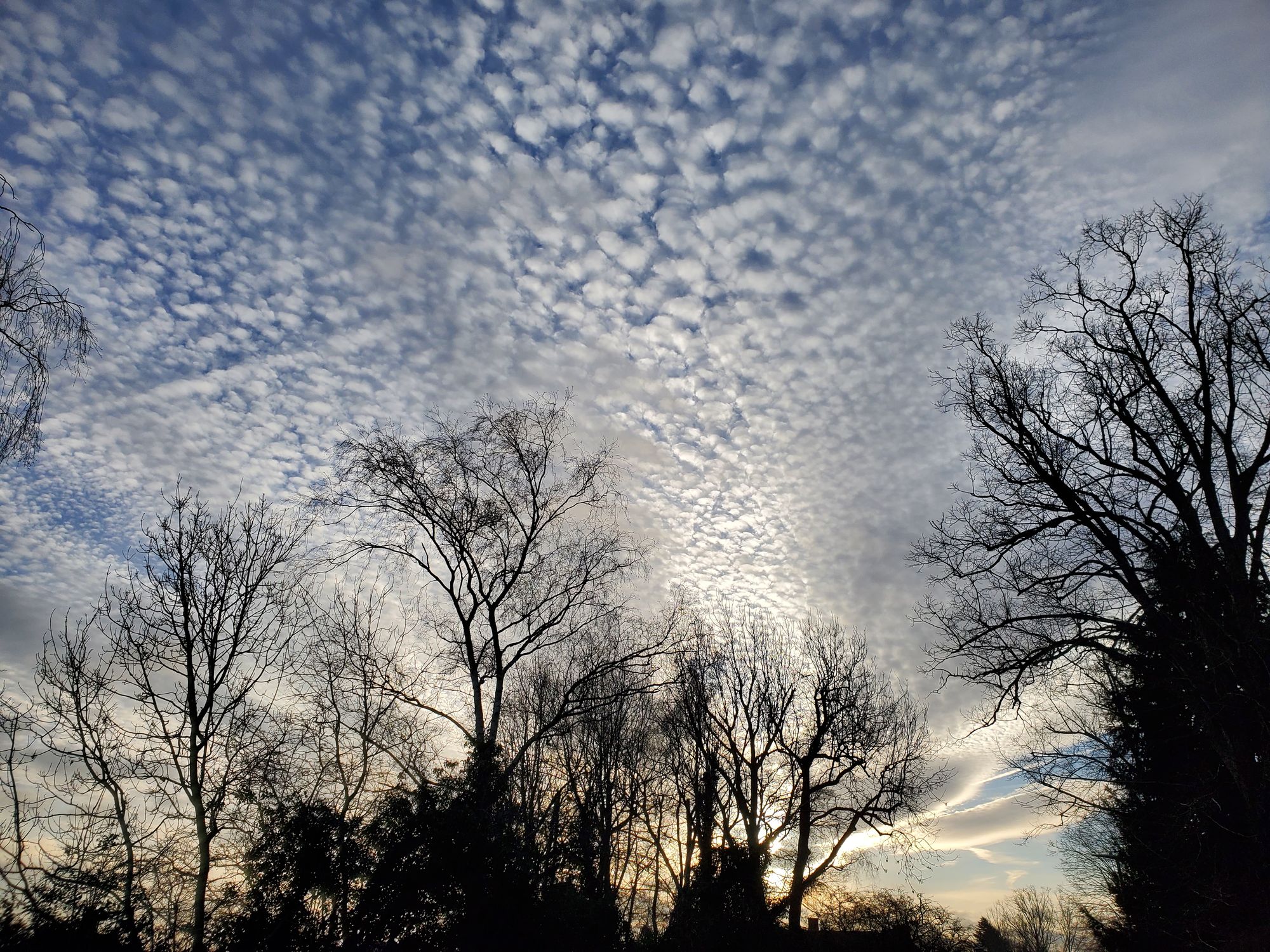 A blue sky with stratus clouds in a  winter morning. Paint on wet watercolor artwork, using minimal paints and maximum loose water effects